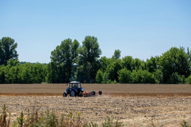 Гранти для агробізнесу 2026: як отримати фінансування на переробку та виробництво фото 2